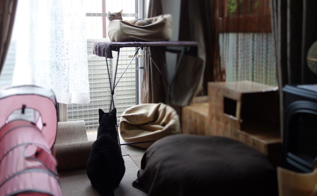 f:id:hiraryo0201:20160914100339j:plain f:id:hiraryo0201:20160914100339j:plain