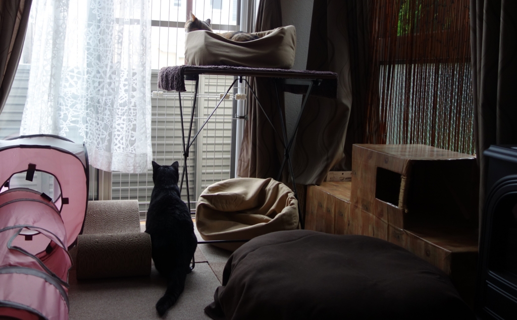 f:id:hiraryo0201:20160914100509j:plain f:id:hiraryo0201:20160914100509j:plain