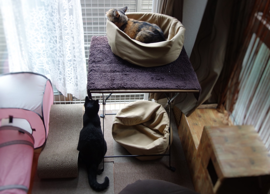 f:id:hiraryo0201:20160914100656j:plain f:id:hiraryo0201:20160914100656j:plain