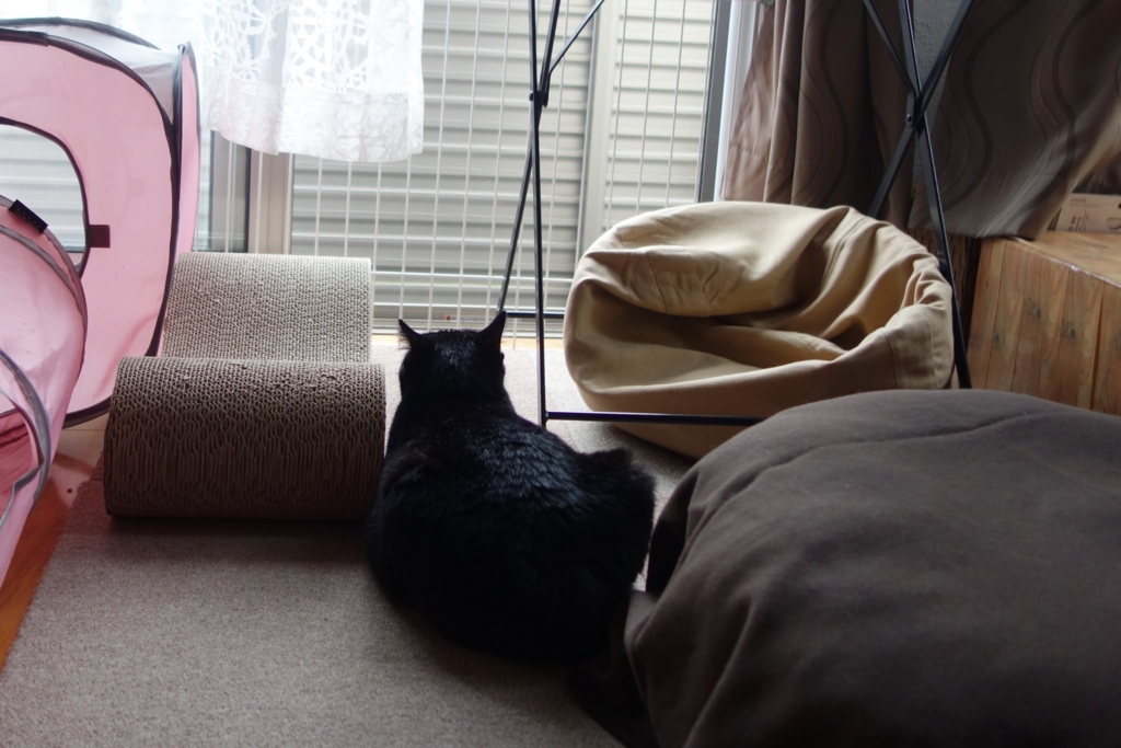 f:id:hiraryo0201:20160914100932j:plain f:id:hiraryo0201:20160914100932j:plain