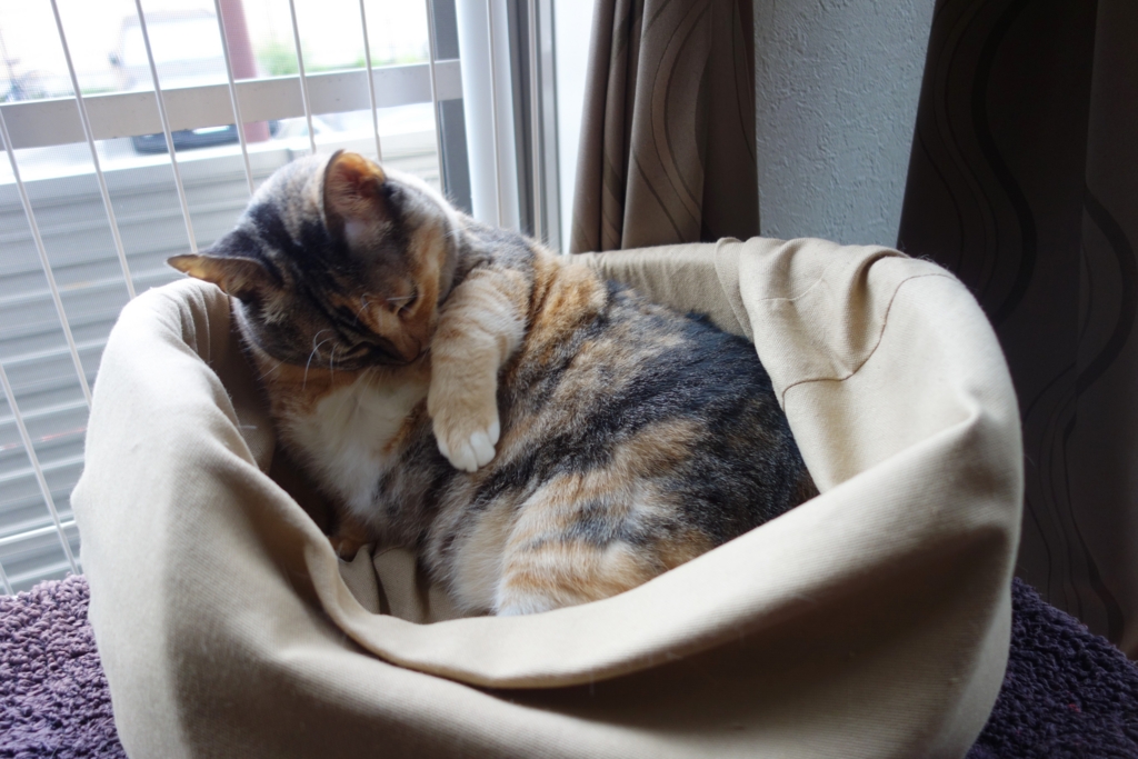 f:id:hiraryo0201:20160914101542j:plain f:id:hiraryo0201:20160914101542j:plain