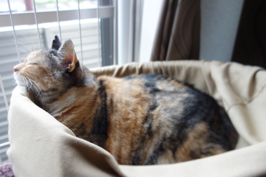 f:id:hiraryo0201:20160914101630j:plain f:id:hiraryo0201:20160914101630j:plain