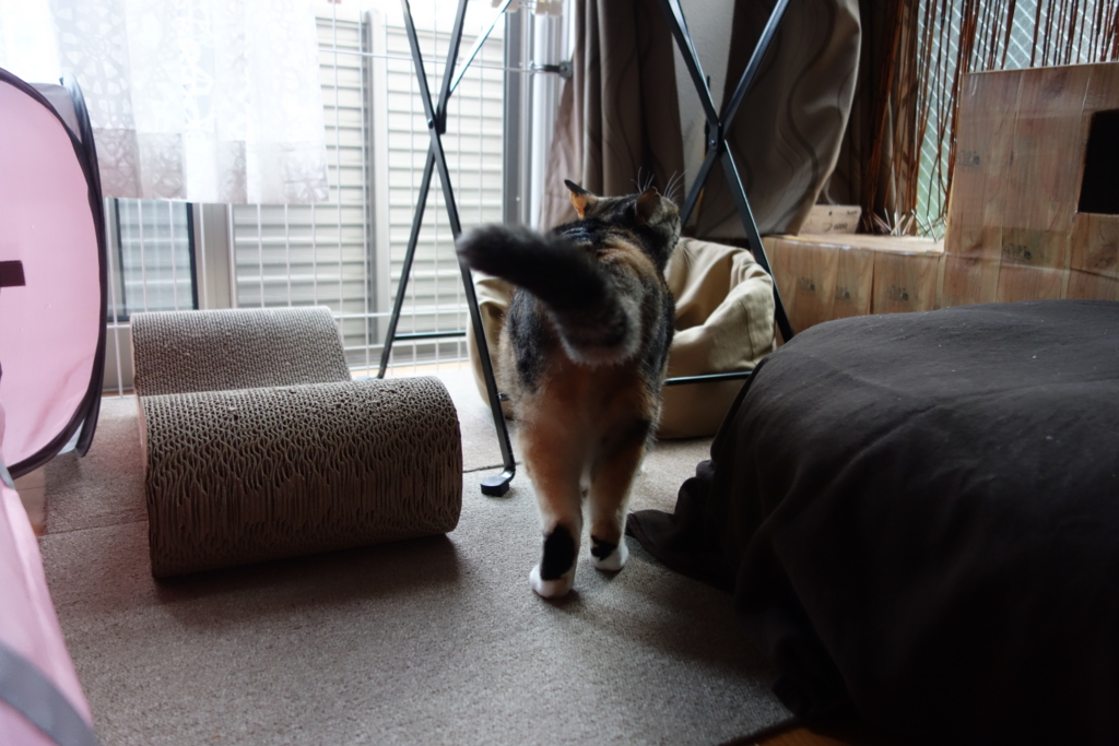 f:id:hiraryo0201:20160915113524j:plain