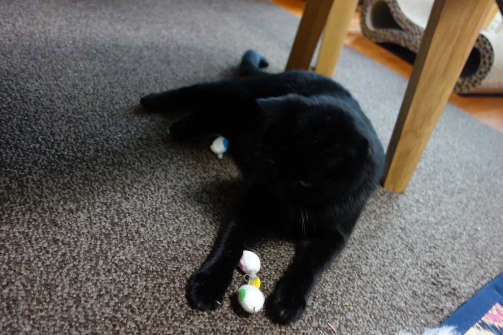 f:id:hiraryo0201:20160915113657j:plain