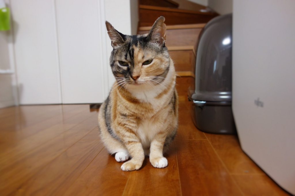 f:id:hiraryo0201:20160916102916j:plain