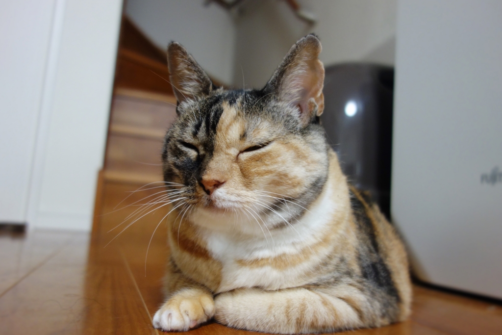 f:id:hiraryo0201:20160916103013j:plain