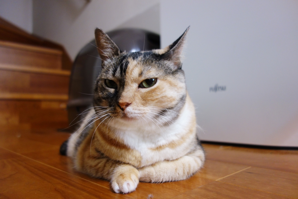 f:id:hiraryo0201:20160916103025j:plain