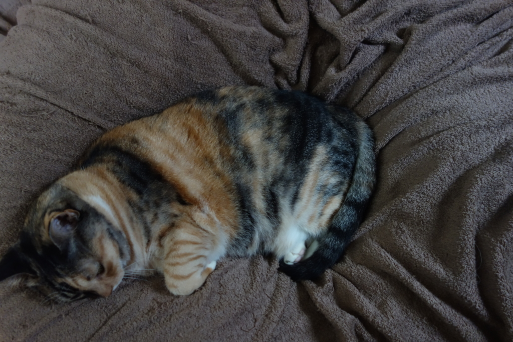 f:id:hiraryo0201:20160917090928j:plain f:id:hiraryo0201:20160917090928j:plain