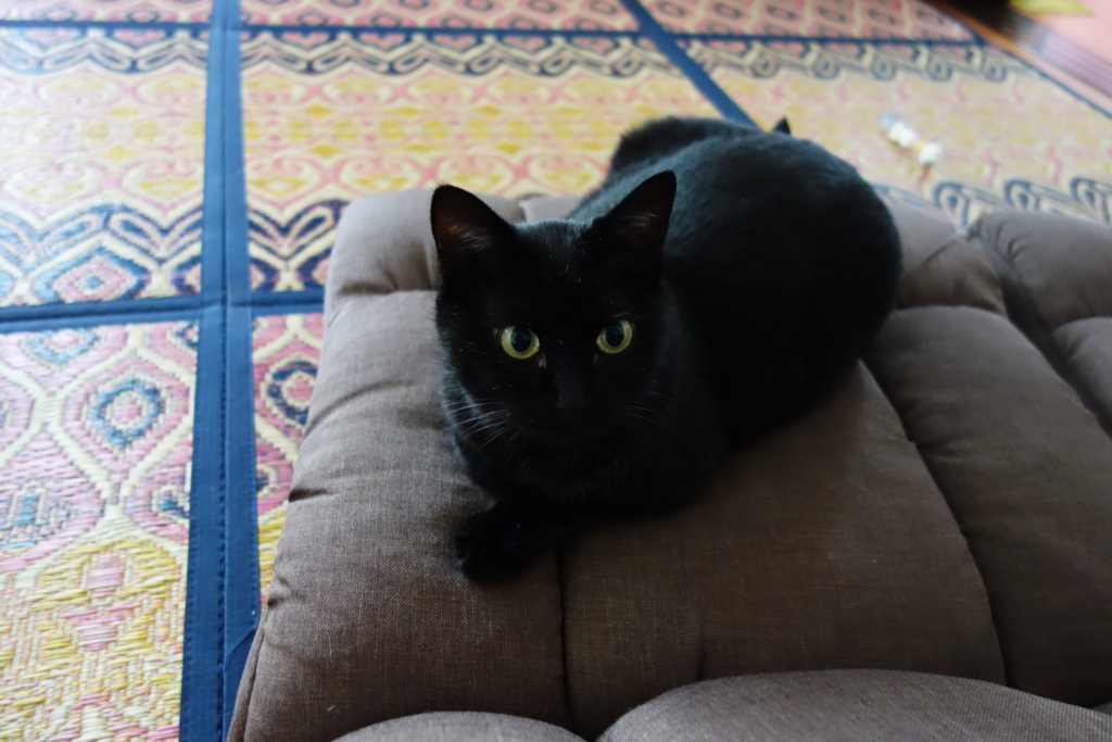 f:id:hiraryo0201:20160917090941j:plain f:id:hiraryo0201:20160917090941j:plain