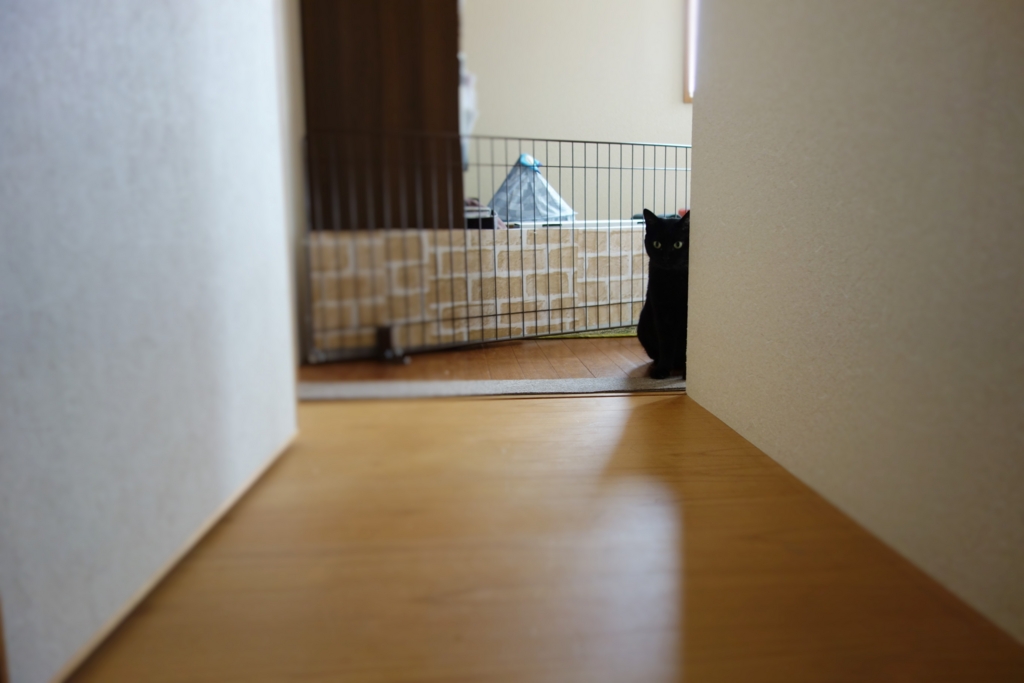 f:id:hiraryo0201:20160917091110j:plain f:id:hiraryo0201:20160917091110j:plain