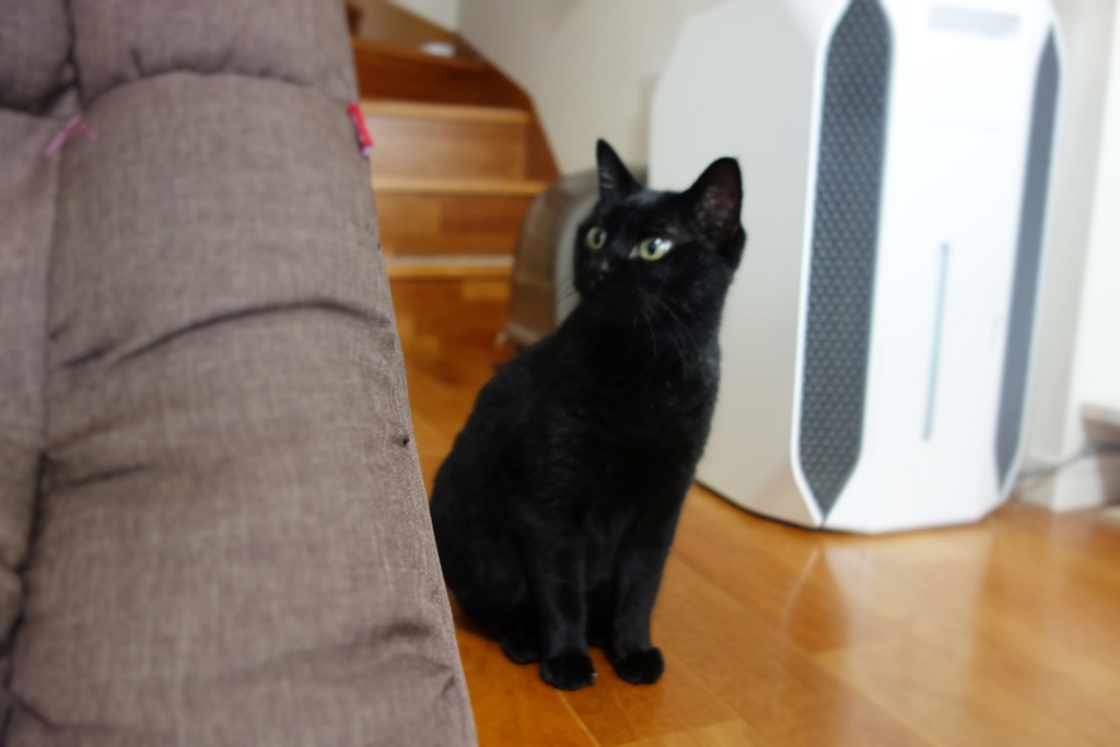 f:id:hiraryo0201:20160917091116j:plain f:id:hiraryo0201:20160917091116j:plain