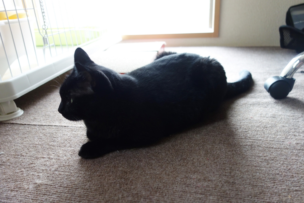 f:id:hiraryo0201:20160917091125j:plain f:id:hiraryo0201:20160917091125j:plain