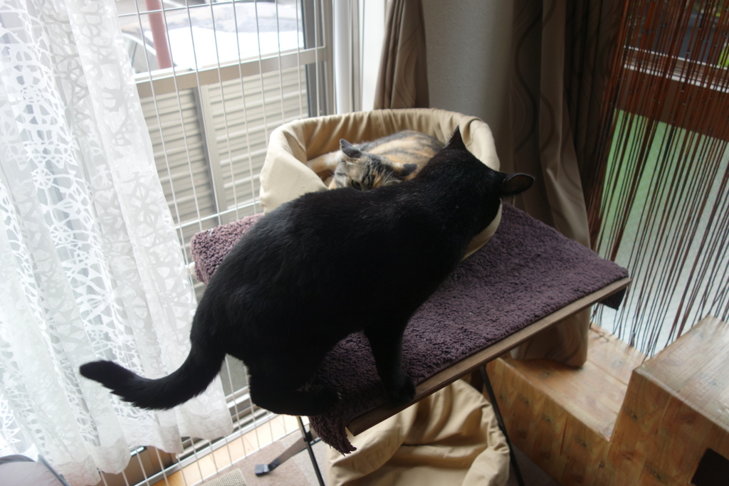 f:id:hiraryo0201:20160917100126j:plain f:id:hiraryo0201:20160917100126j:plain