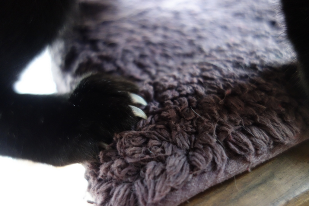 f:id:hiraryo0201:20160917100137j:plain f:id:hiraryo0201:20160917100137j:plain