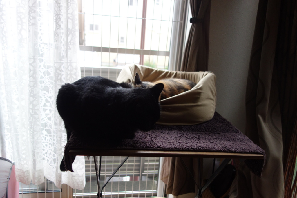 f:id:hiraryo0201:20160917100206j:plain f:id:hiraryo0201:20160917100206j:plain