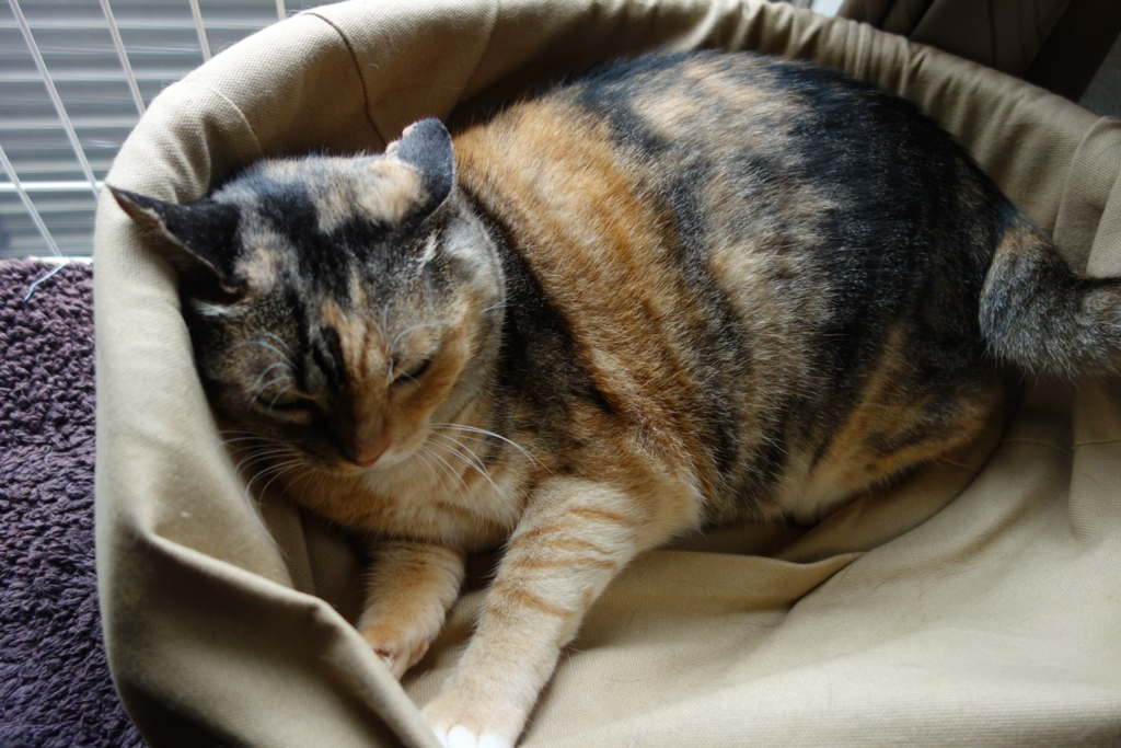 f:id:hiraryo0201:20160917100221j:plain f:id:hiraryo0201:20160917100221j:plain