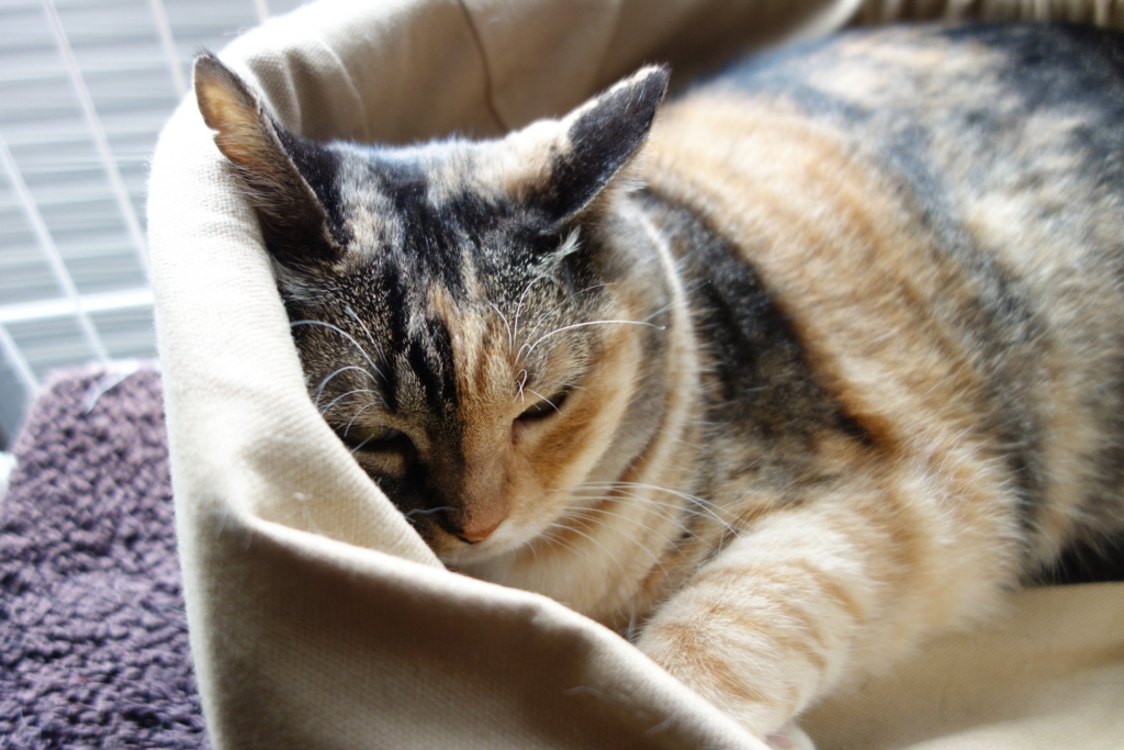 f:id:hiraryo0201:20160917100229j:plain f:id:hiraryo0201:20160917100229j:plain