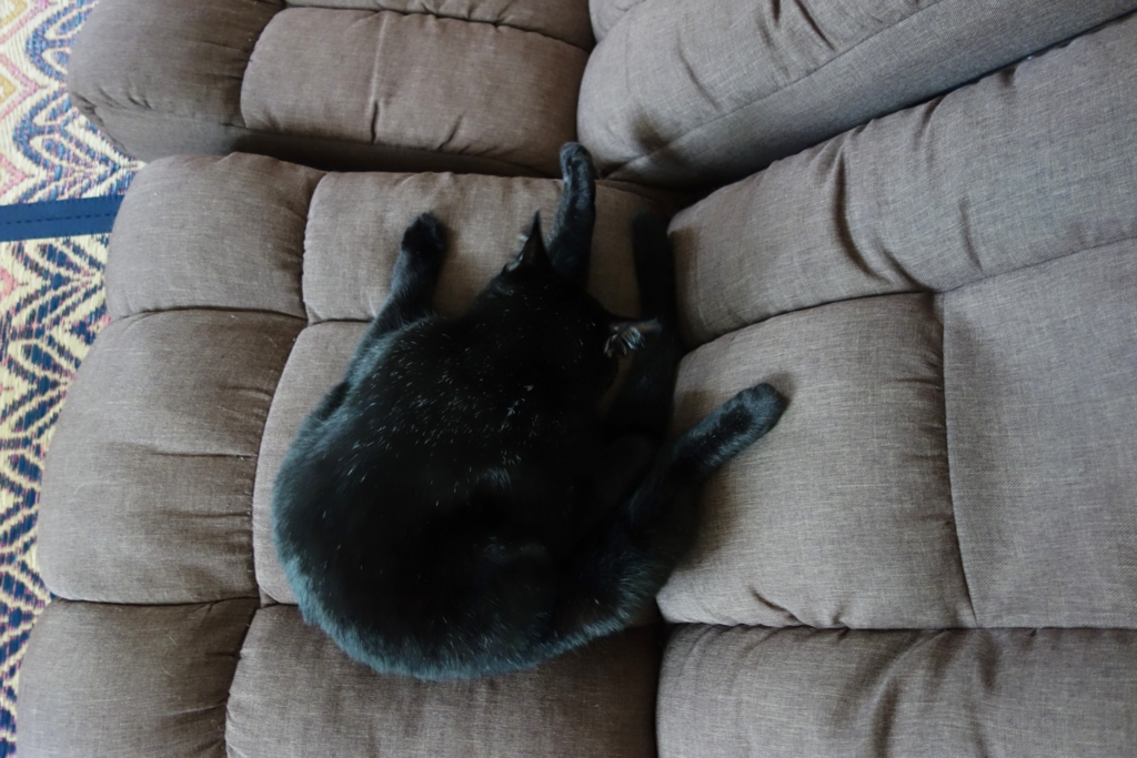 f:id:hiraryo0201:20160917100231j:plain f:id:hiraryo0201:20160917100231j:plain