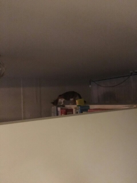 f:id:hiraryo0201:20160918111834j:plain f:id:hiraryo0201:20160918111834j:plain