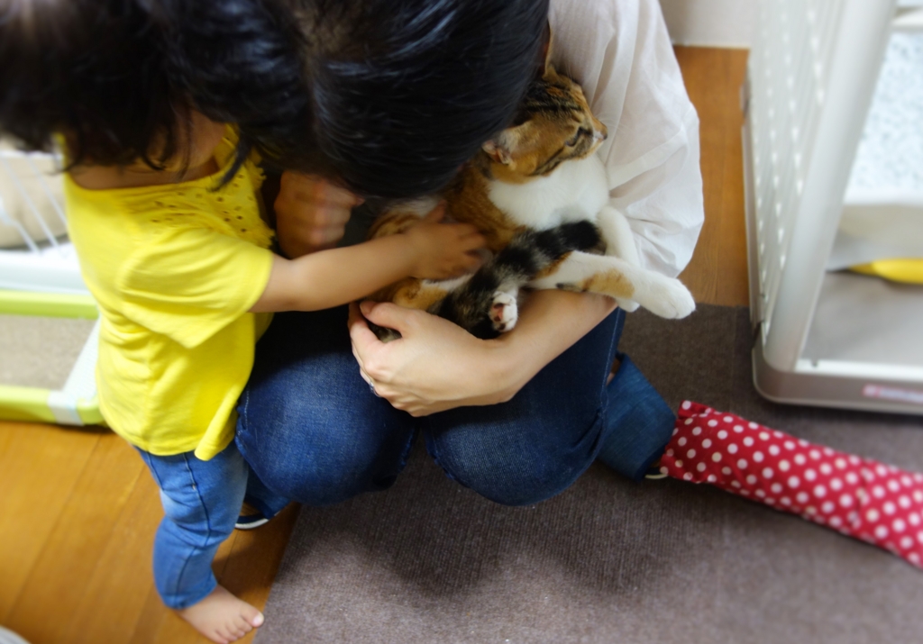 f:id:hiraryo0201:20160918133840j:plain f:id:hiraryo0201:20160918133840j:plain