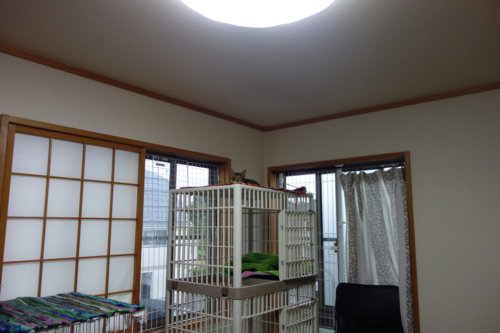 f:id:hiraryo0201:20160918134153j:plain f:id:hiraryo0201:20160918134153j:plain