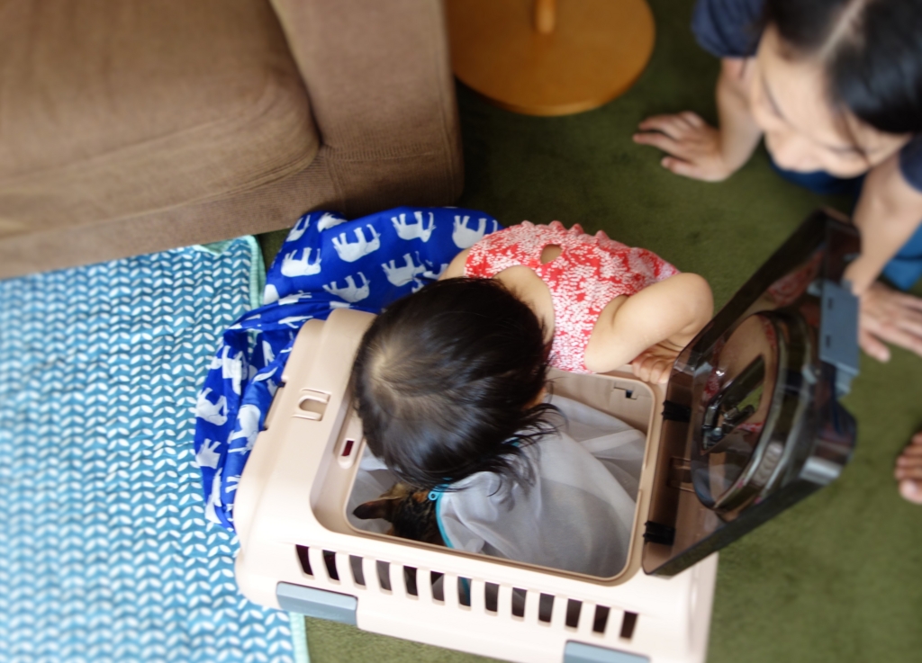 f:id:hiraryo0201:20160918142222j:plain f:id:hiraryo0201:20160918142222j:plain