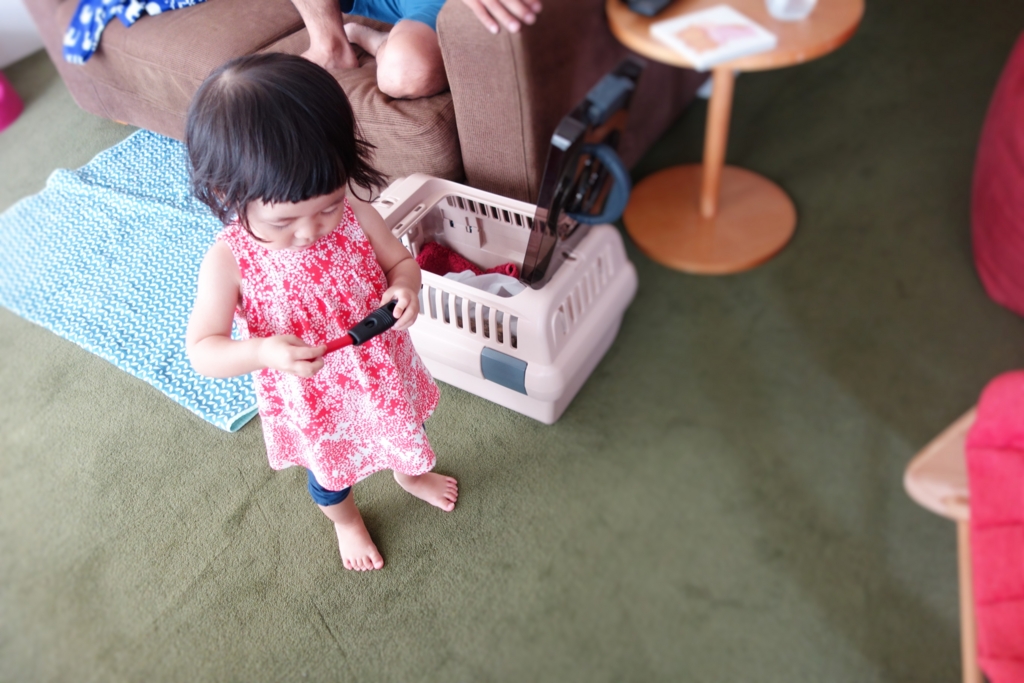 f:id:hiraryo0201:20160918150240j:plain f:id:hiraryo0201:20160918150240j:plain