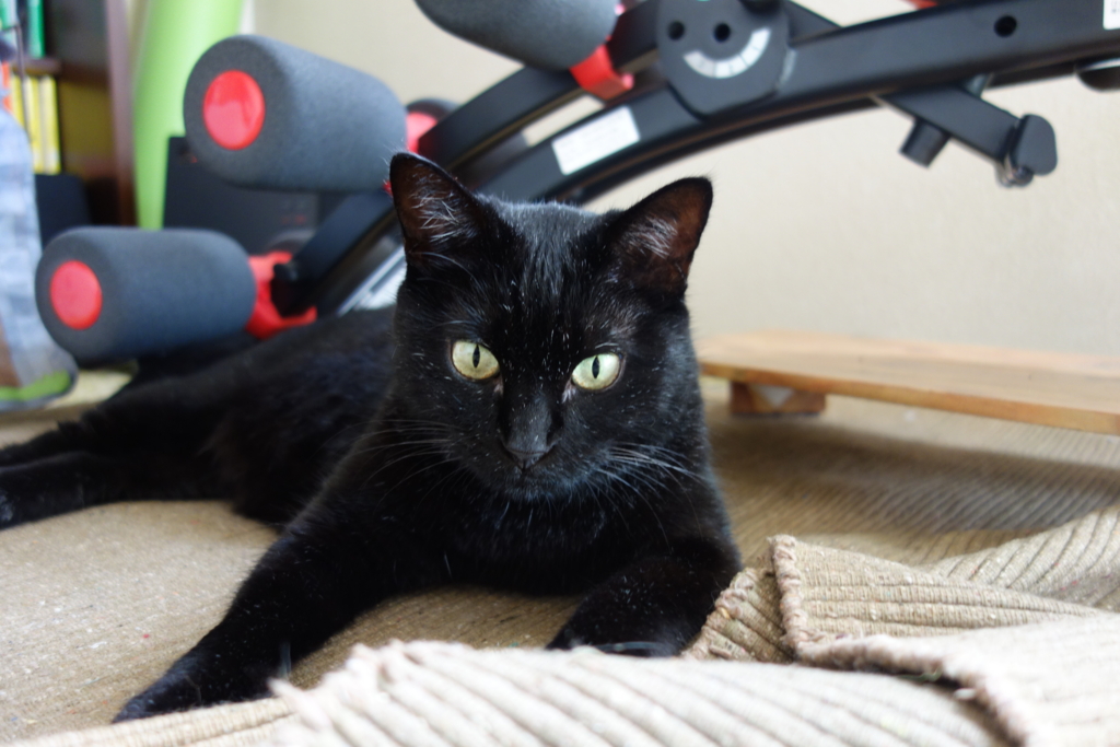 f:id:hiraryo0201:20160919091451j:plain