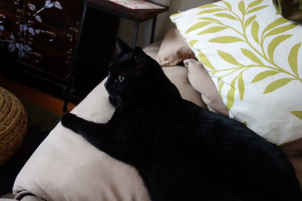 f:id:hiraryo0201:20160928104325j:plain f:id:hiraryo0201:20160928104325j:plain