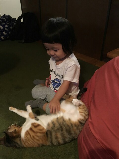 f:id:hiraryo0201:20161004105456j:image f:id:hiraryo0201:20161004105456j:image