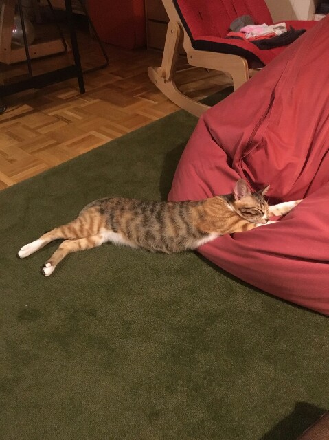 f:id:hiraryo0201:20161004105522j:image f:id:hiraryo0201:20161004105522j:image