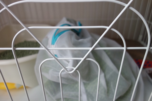 f:id:hiraryo0201:20161004113536j:plain f:id:hiraryo0201:20161004113536j:plain