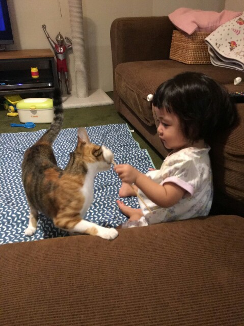 f:id:hiraryo0201:20161005083121j:plain f:id:hiraryo0201:20161005083121j:plain