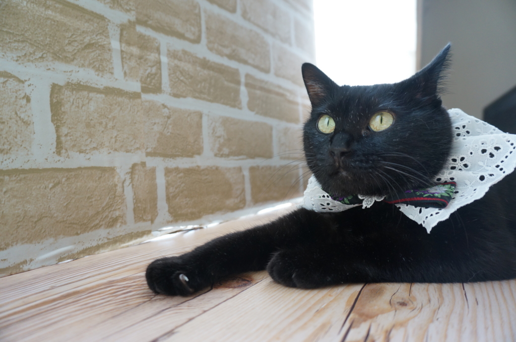 f:id:hiraryo0201:20161005121552j:plain