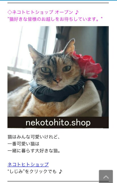 f:id:hiraryo0201:20161006212237j:image