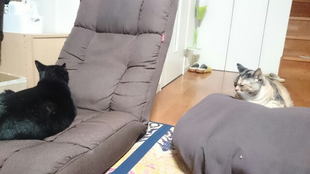 f:id:hiraryo0201:20161006213026j:plain