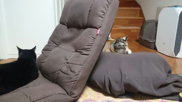 f:id:hiraryo0201:20161006213059j:plain