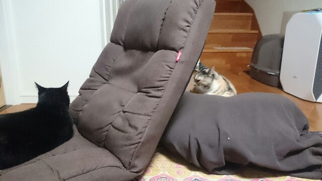 f:id:hiraryo0201:20161006213106j:plain