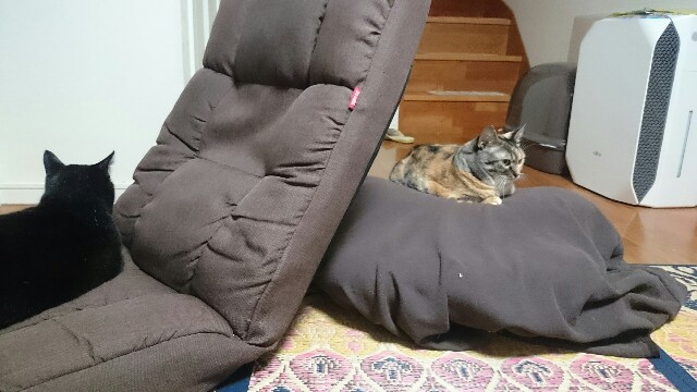 f:id:hiraryo0201:20161006213118j:plain