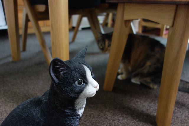 f:id:hiraryo0201:20161007103439j:plain f:id:hiraryo0201:20161007103439j:plain