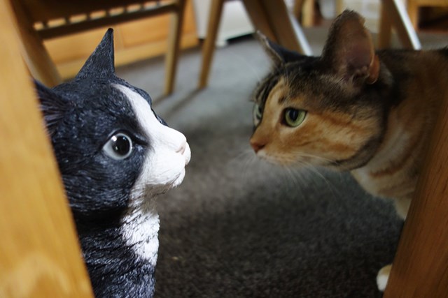 f:id:hiraryo0201:20161007103447j:plain f:id:hiraryo0201:20161007103447j:plain