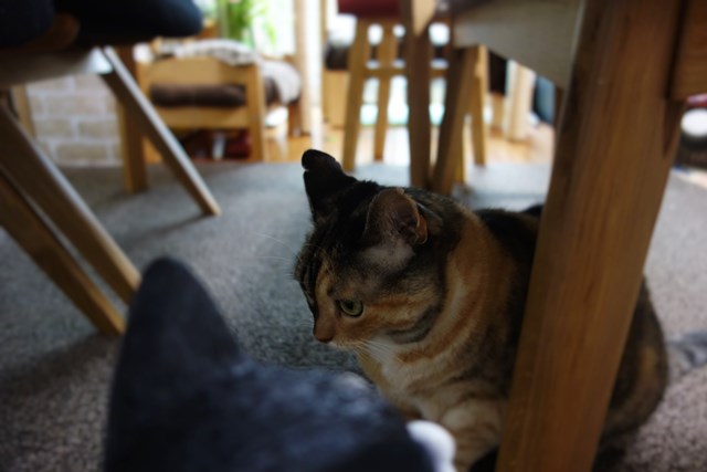 f:id:hiraryo0201:20161007103505j:plain f:id:hiraryo0201:20161007103505j:plain