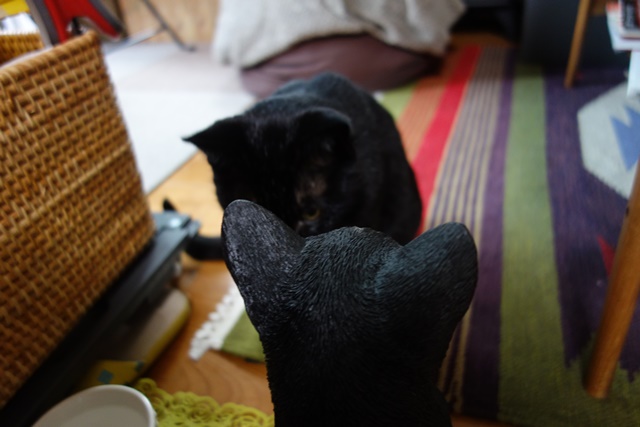 f:id:hiraryo0201:20161007103510j:plain f:id:hiraryo0201:20161007103510j:plain