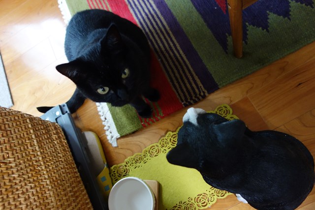 f:id:hiraryo0201:20161007103520j:plain f:id:hiraryo0201:20161007103520j:plain