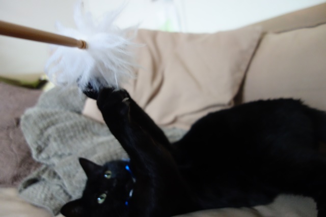 f:id:hiraryo0201:20161007103540j:plain f:id:hiraryo0201:20161007103540j:plain