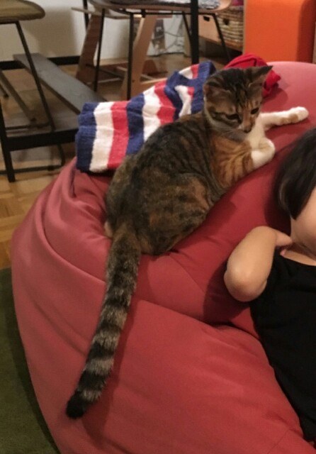 f:id:hiraryo0201:20161012135102j:image f:id:hiraryo0201:20161012135102j:image