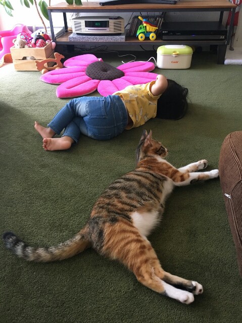 f:id:hiraryo0201:20161012135116j:image f:id:hiraryo0201:20161012135116j:image