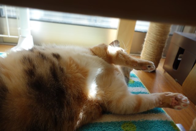 f:id:hiraryo0201:20161020095656j:plain f:id:hiraryo0201:20161020095656j:plain