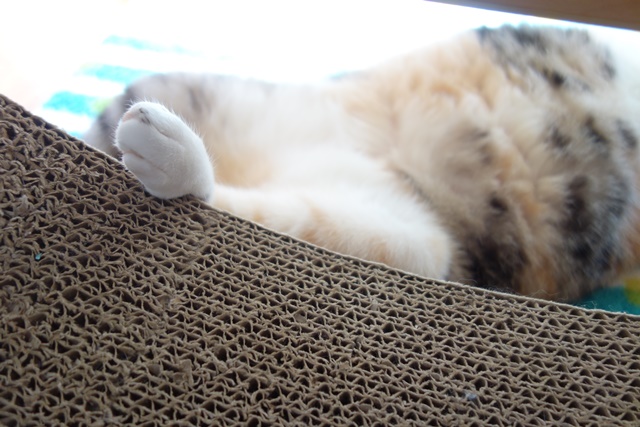 f:id:hiraryo0201:20161020095753j:plain f:id:hiraryo0201:20161020095753j:plain