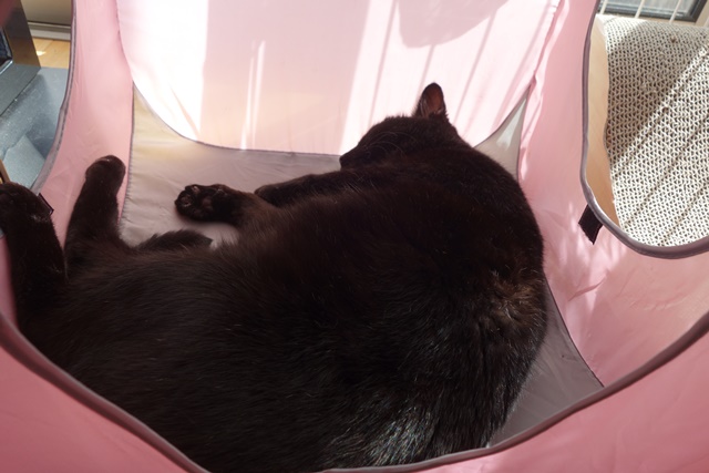 f:id:hiraryo0201:20161020095809j:plain f:id:hiraryo0201:20161020095809j:plain